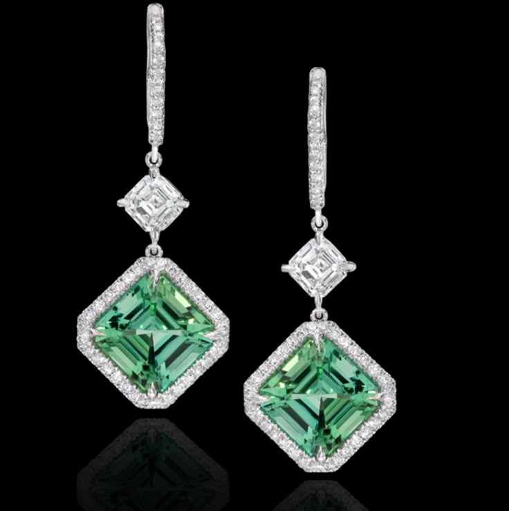 Tsavorite Garnet Dangle Earrings