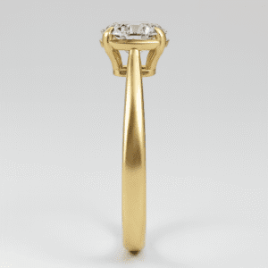 Bezel Prong Hybrid Setting